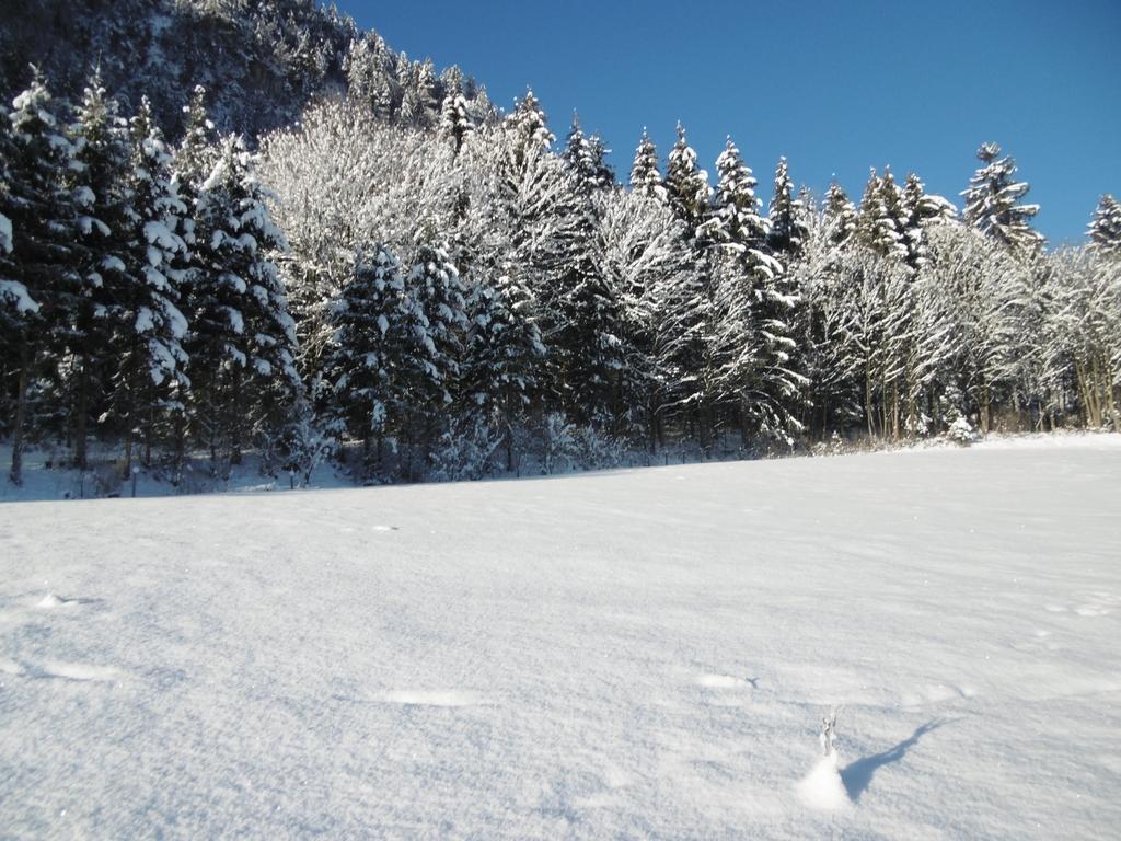 Ferienwohnung Zillertal Bacher Schlitters Bagian luar foto